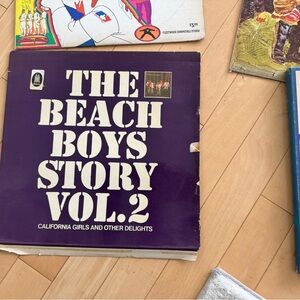 The Beach Boys Story Vol. 2 Vinyl Record